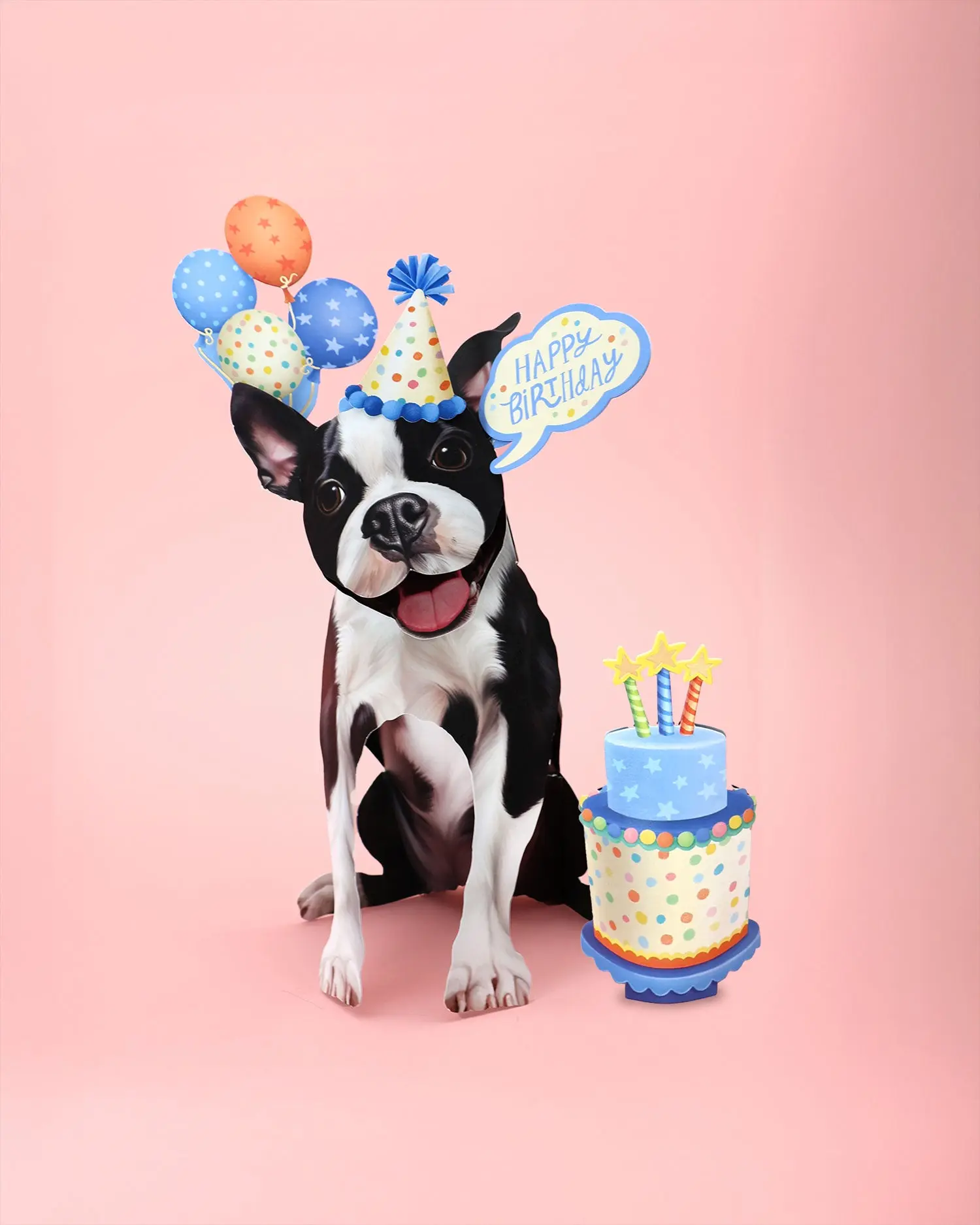 Birthday Boston Terrier Pop-Up Card - Image 4