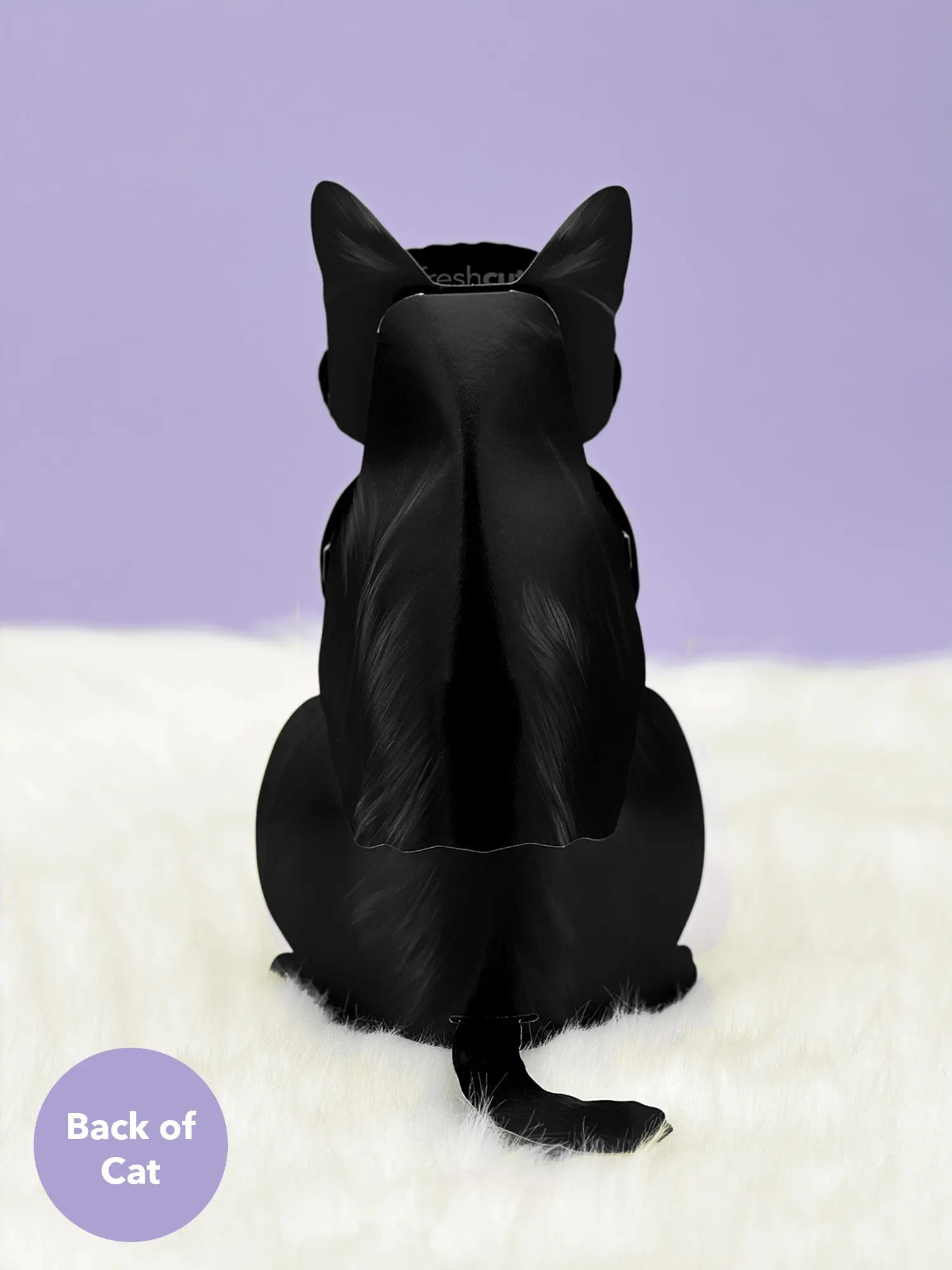 Black Cat Pop-Up Card - Image 4
