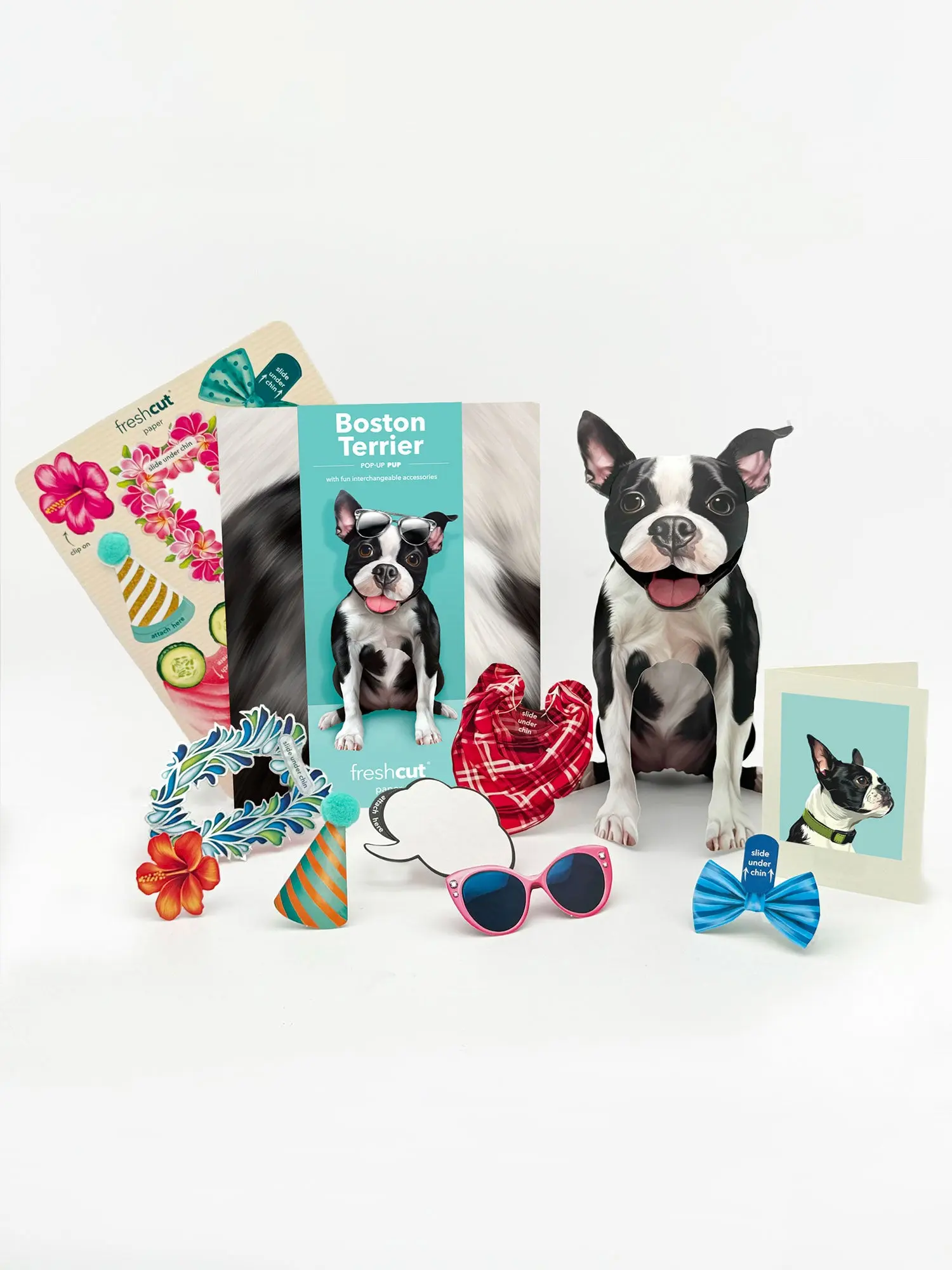 Boston Terrier Pop-Up Card - Image 2