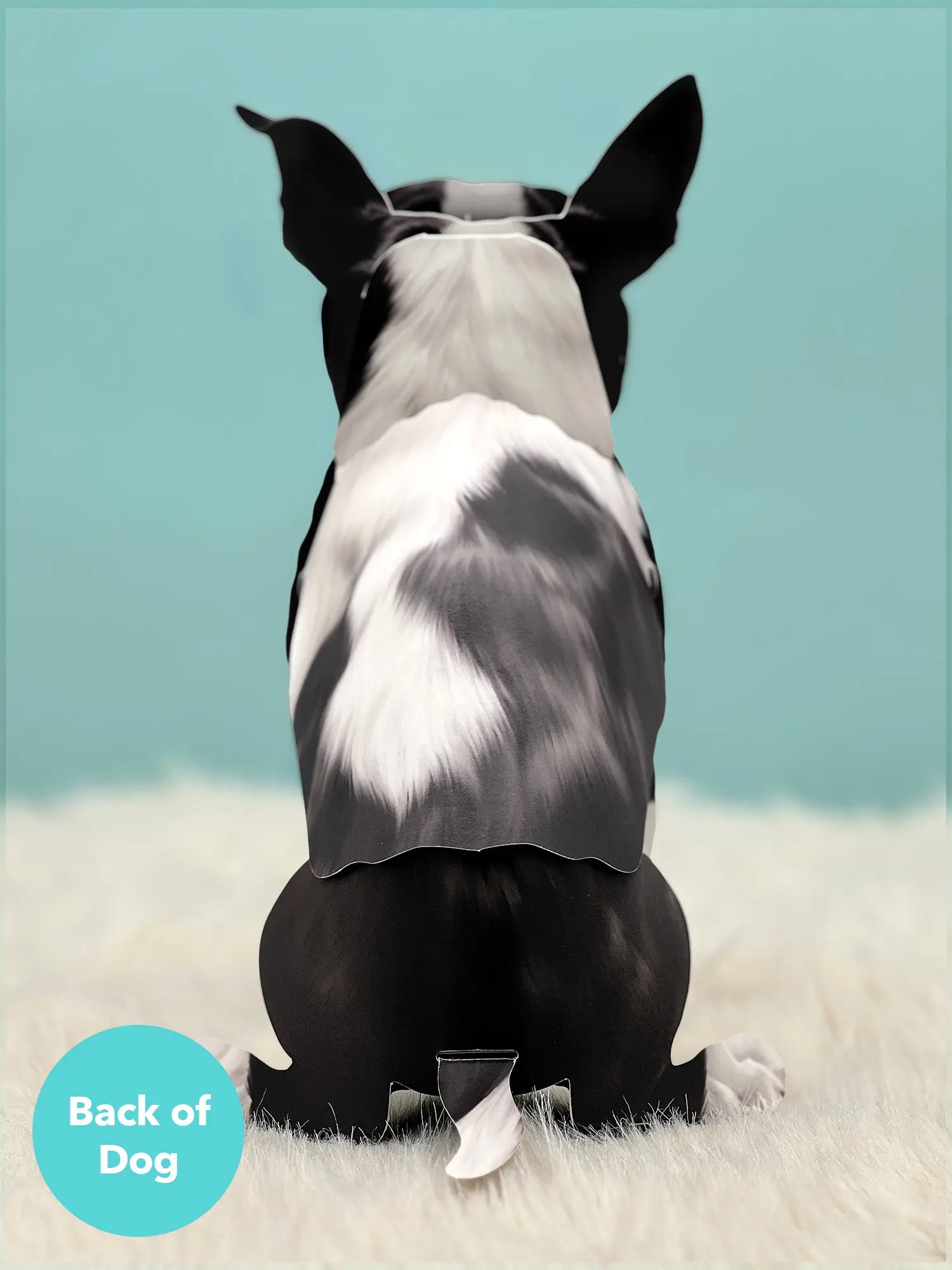 Boston Terrier Pop-Up Card - Image 3