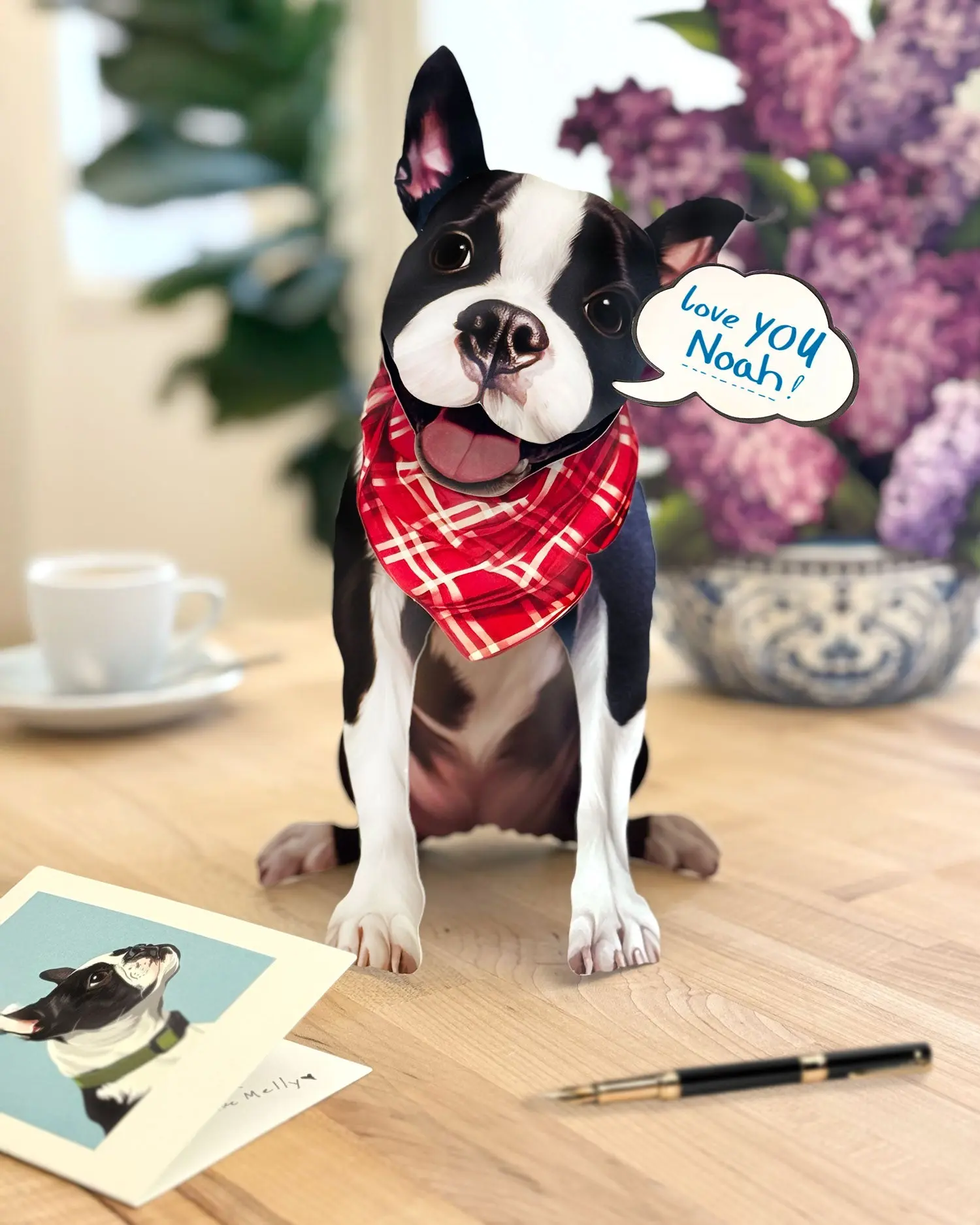Boston Terrier Pop-Up Card - Image 4