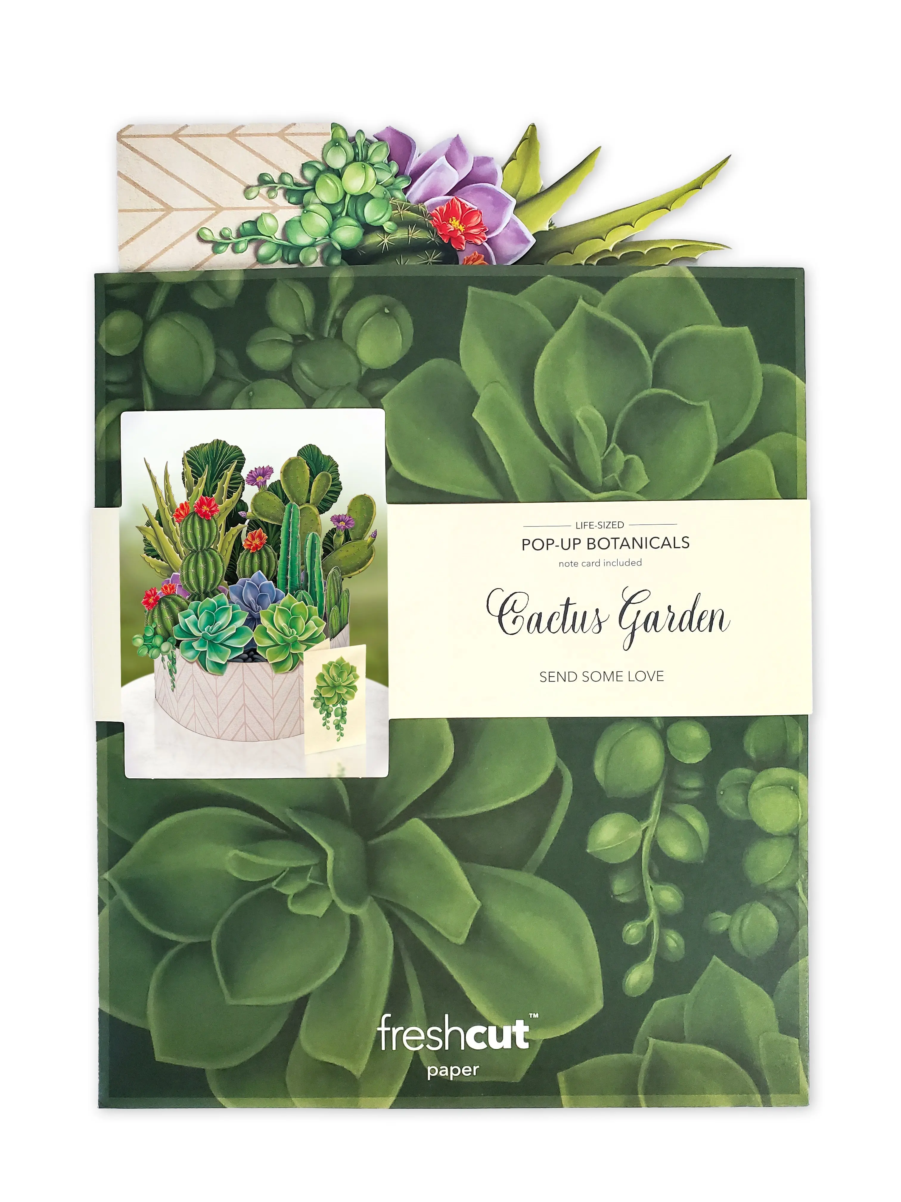 Cactus Garden - Image 4