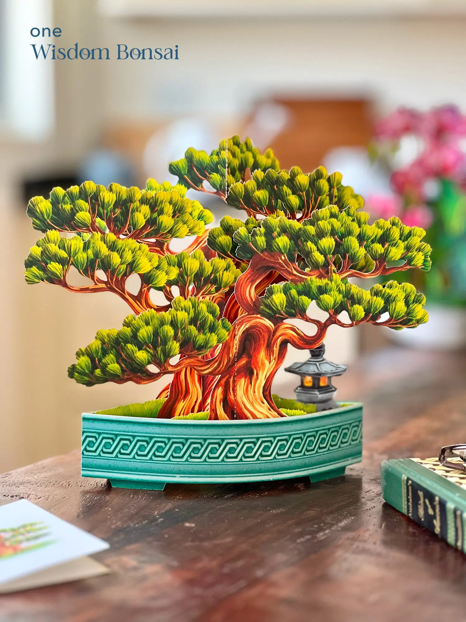 Classic Houseplants Bundle - Image 2