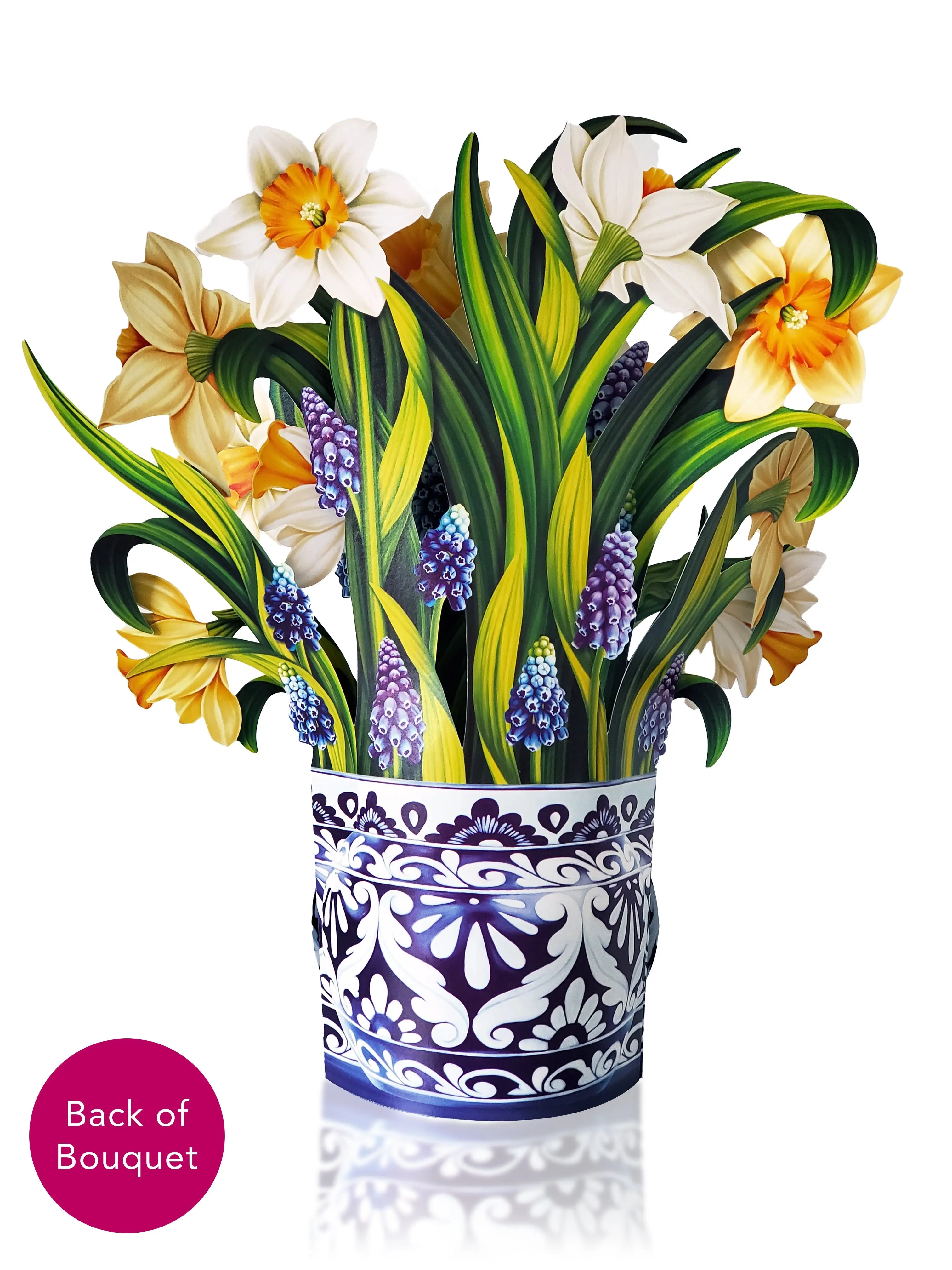English Daffodils - Image 3