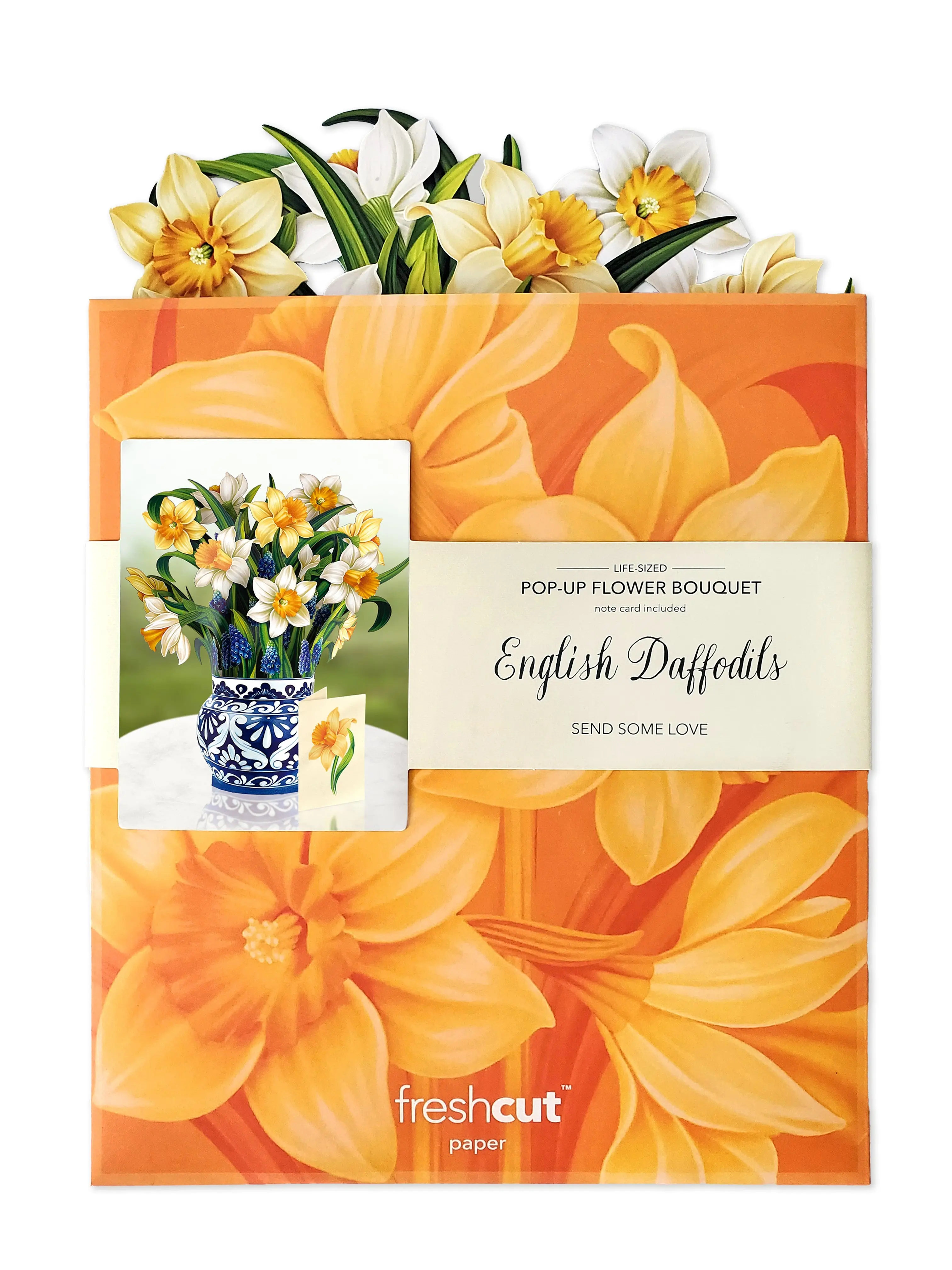 English Daffodils - Image 4