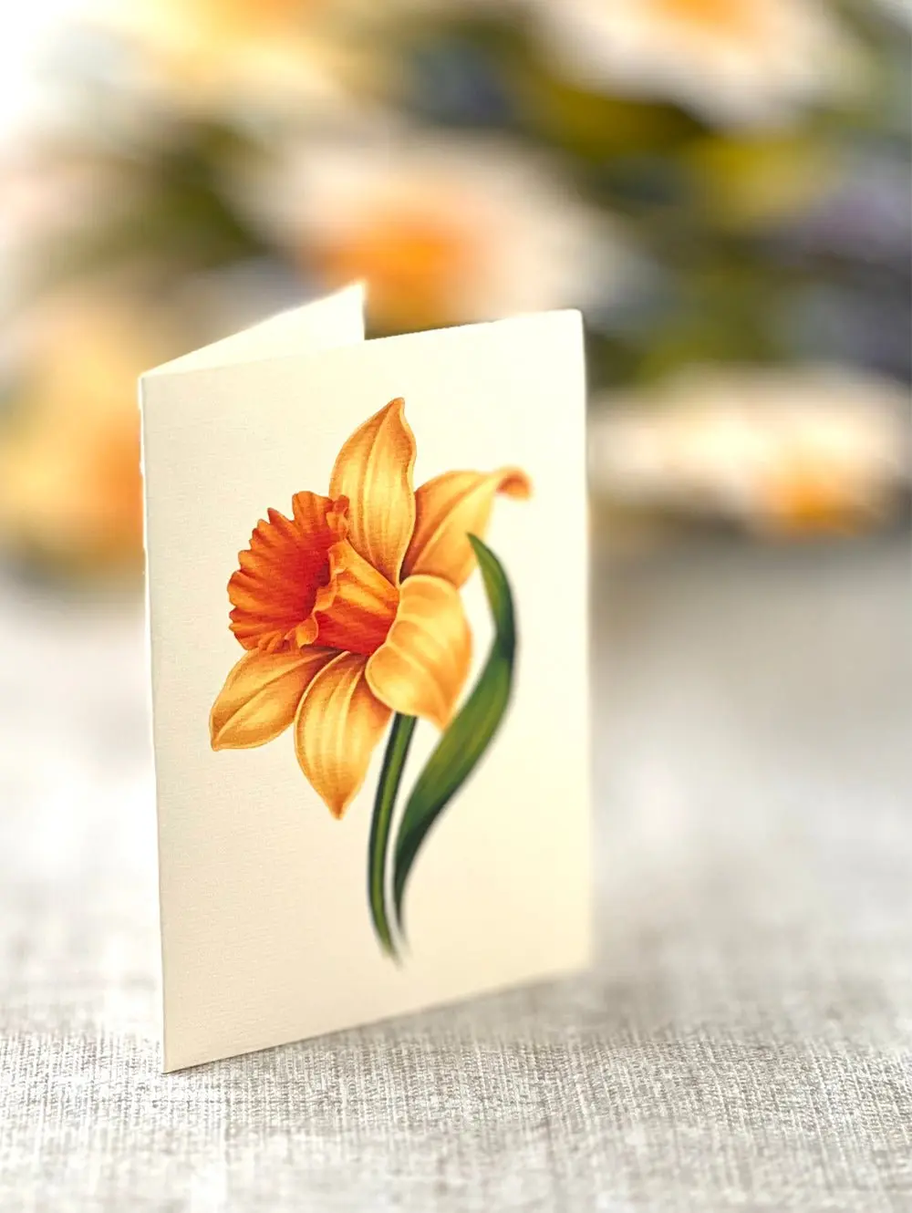 English Daffodils - Image 5