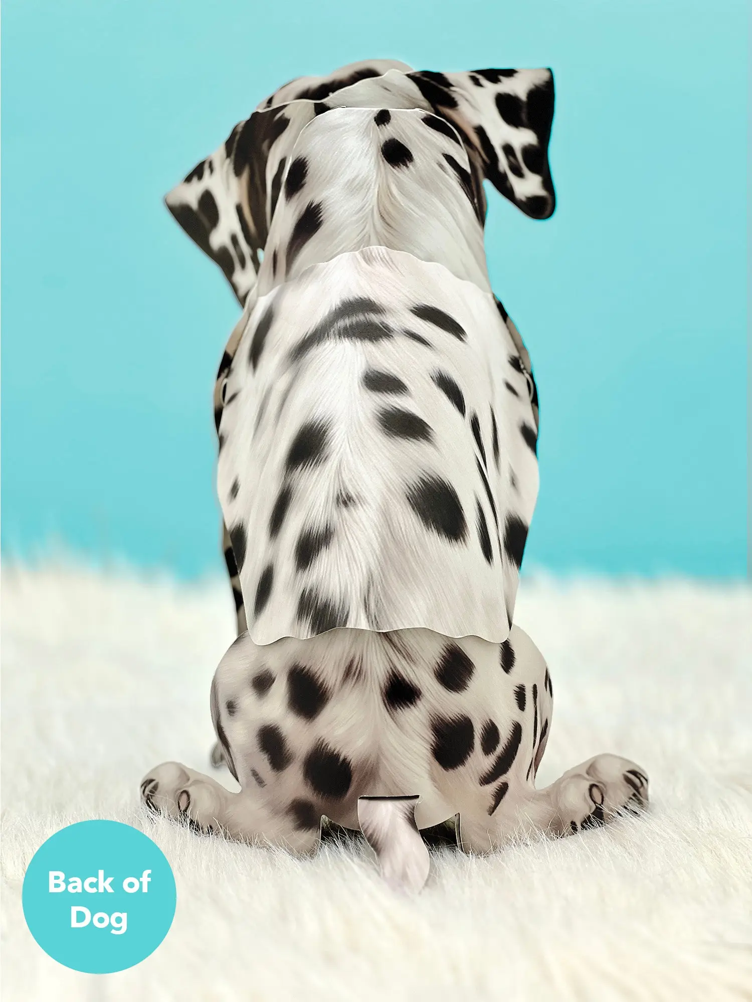 Dalmatian Pop-Up Card - Image 3