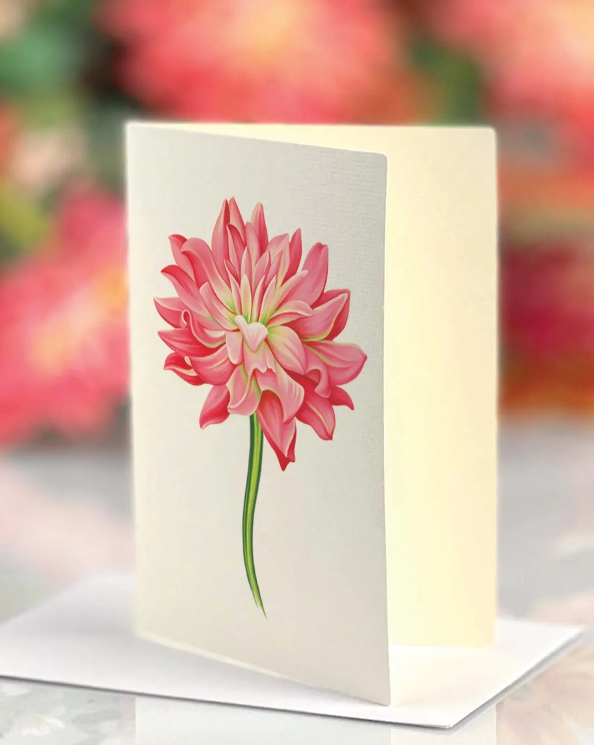 Grande Dear Dahlia - Image 3