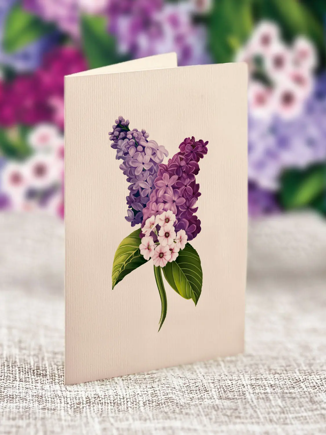 Grande Garden Lilacs - Image 6