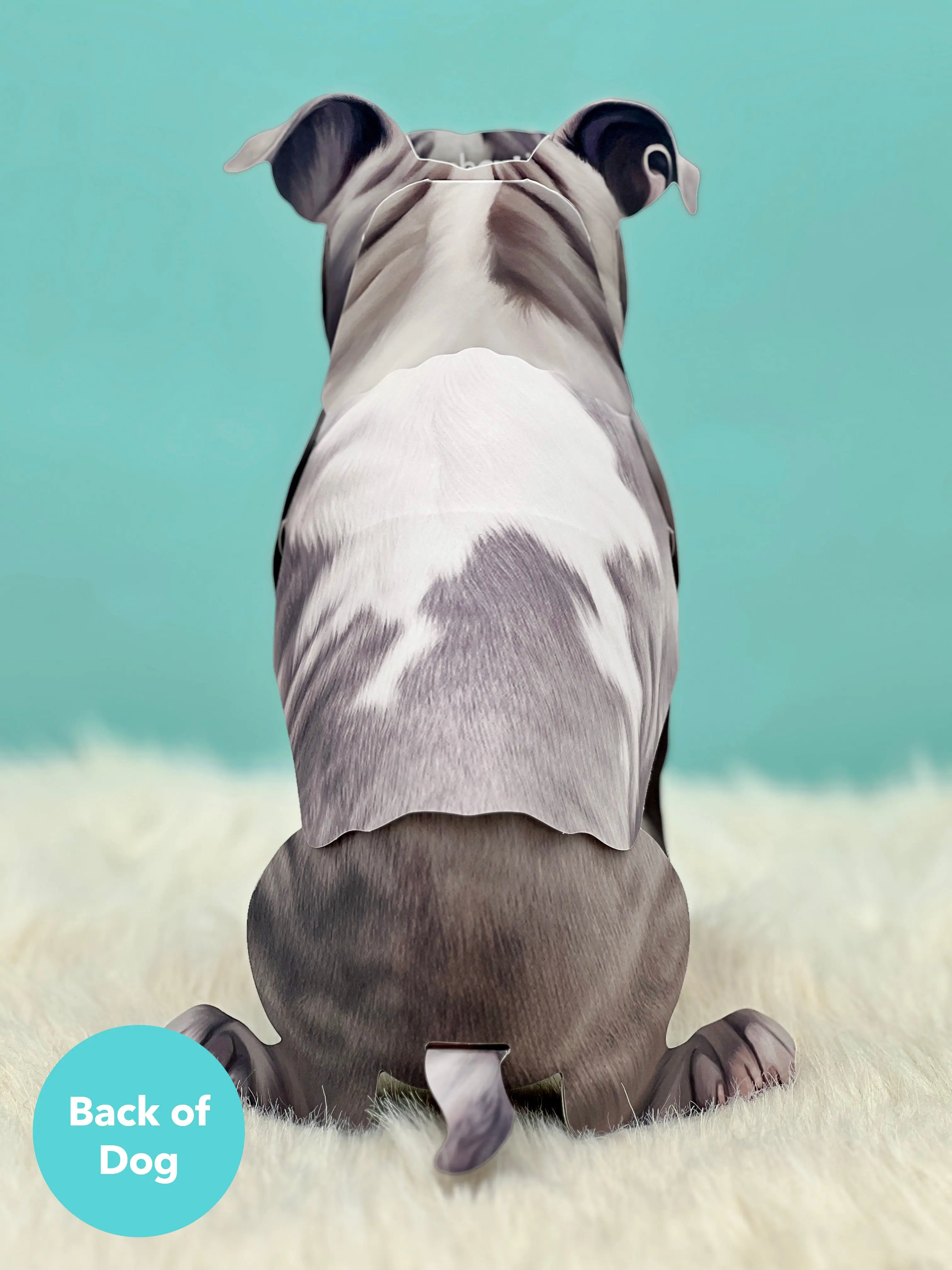 Pit Bull Pop-Up Card - Image 3