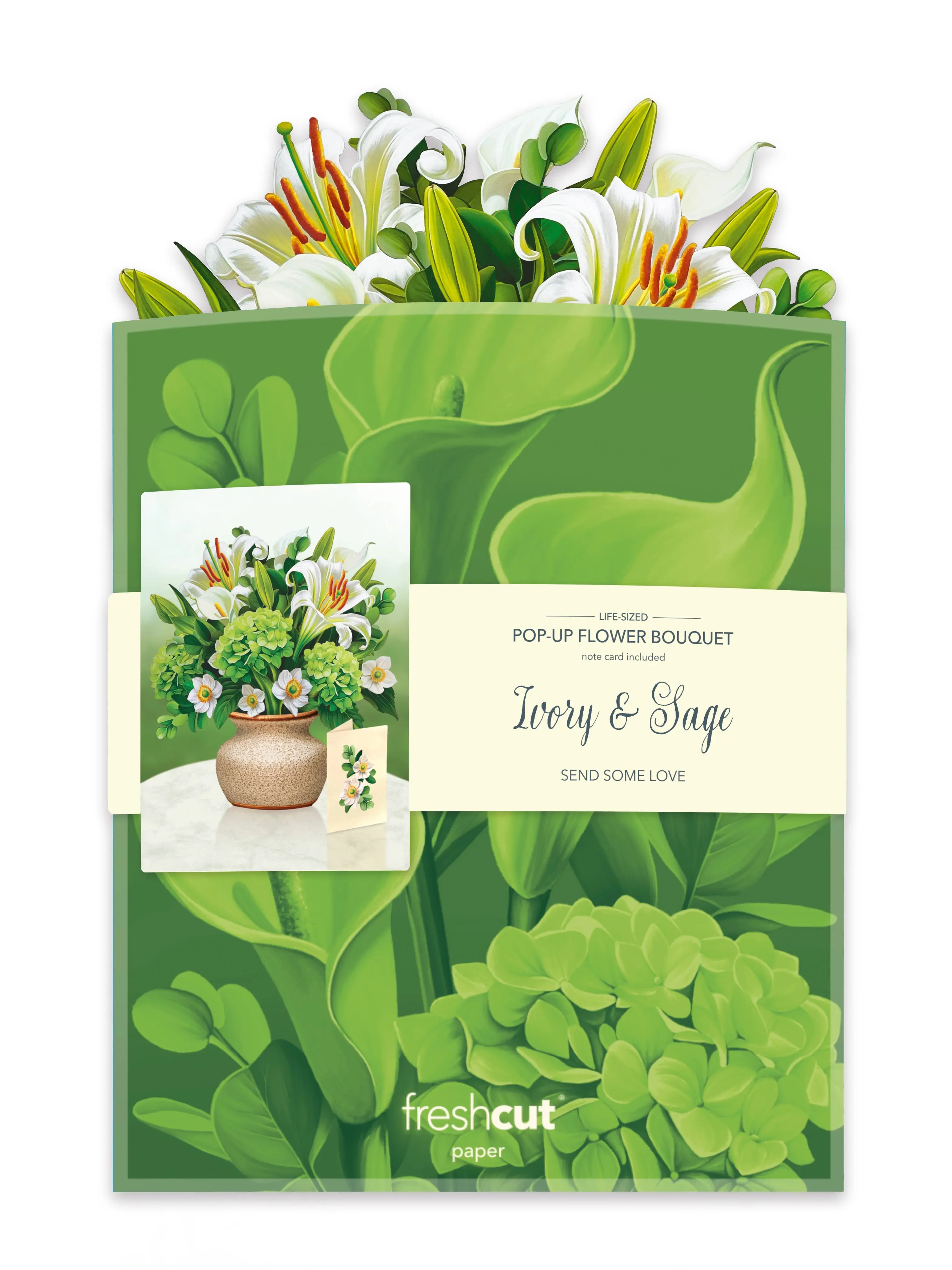 Ivory & Sage - Image 4