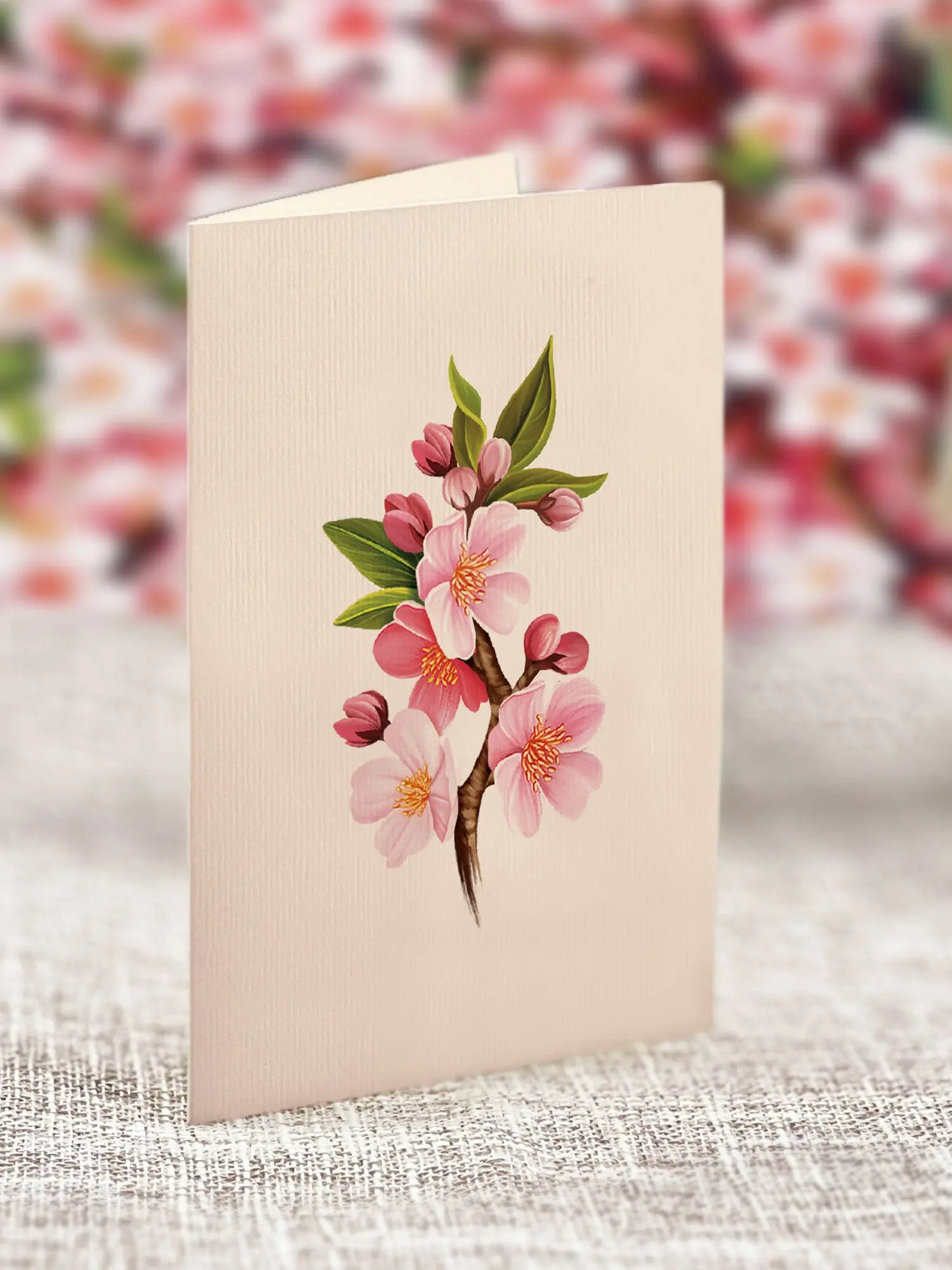 Japanese Cherry Blossoms - Image 6