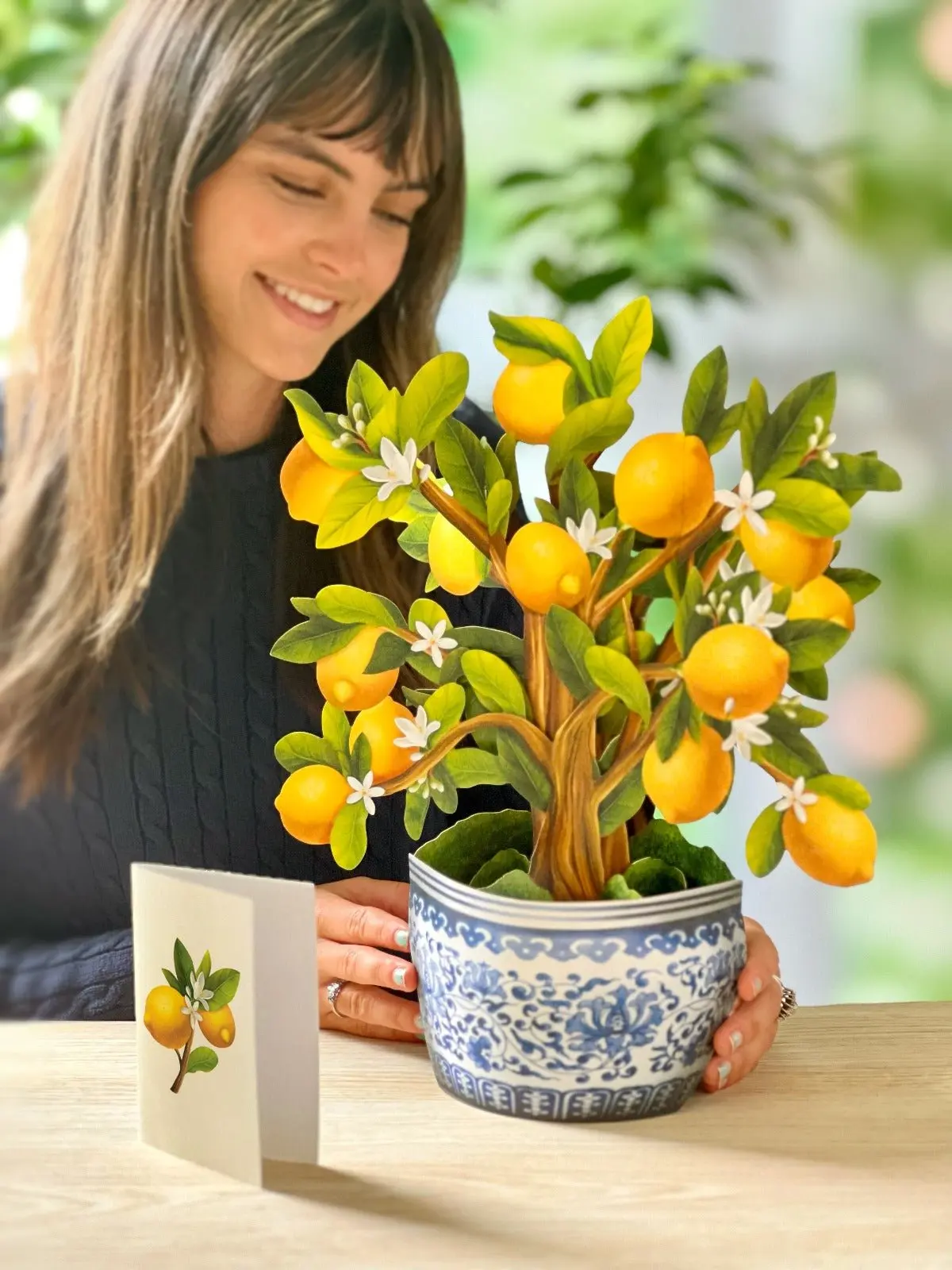 Lemon Blossom Tree - Image 3