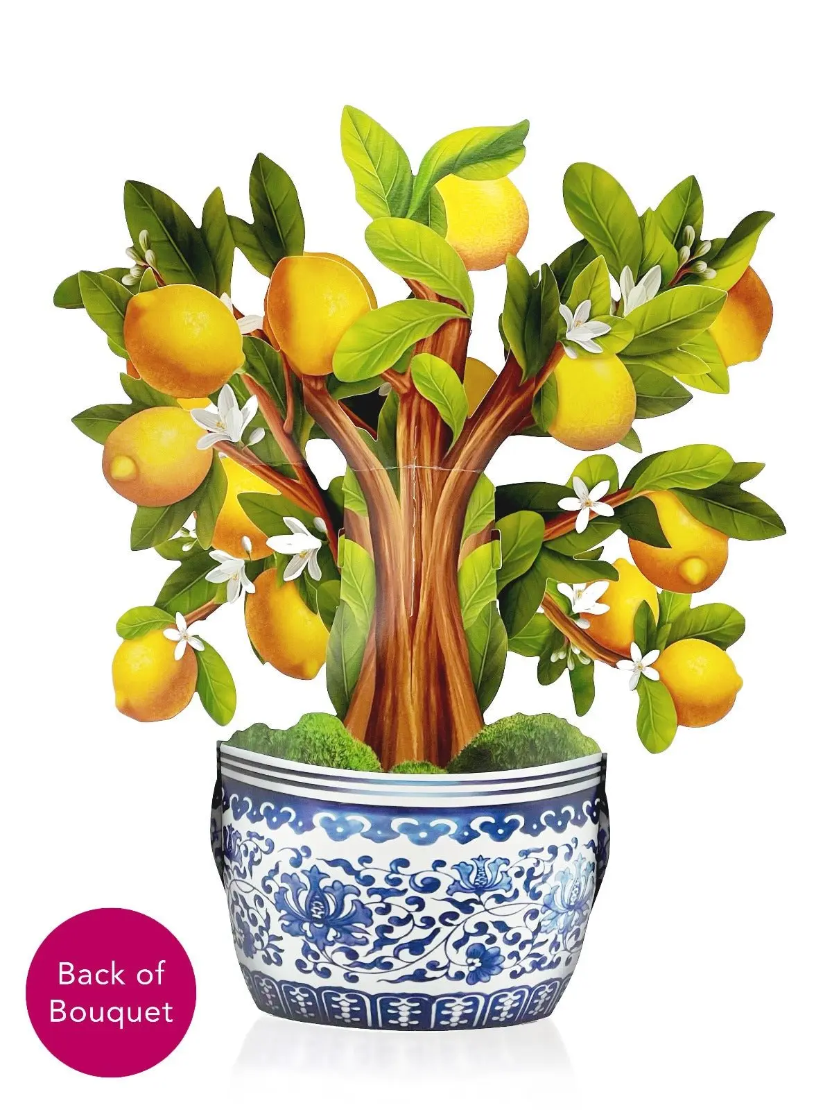 Lemon Blossom Tree - Image 4