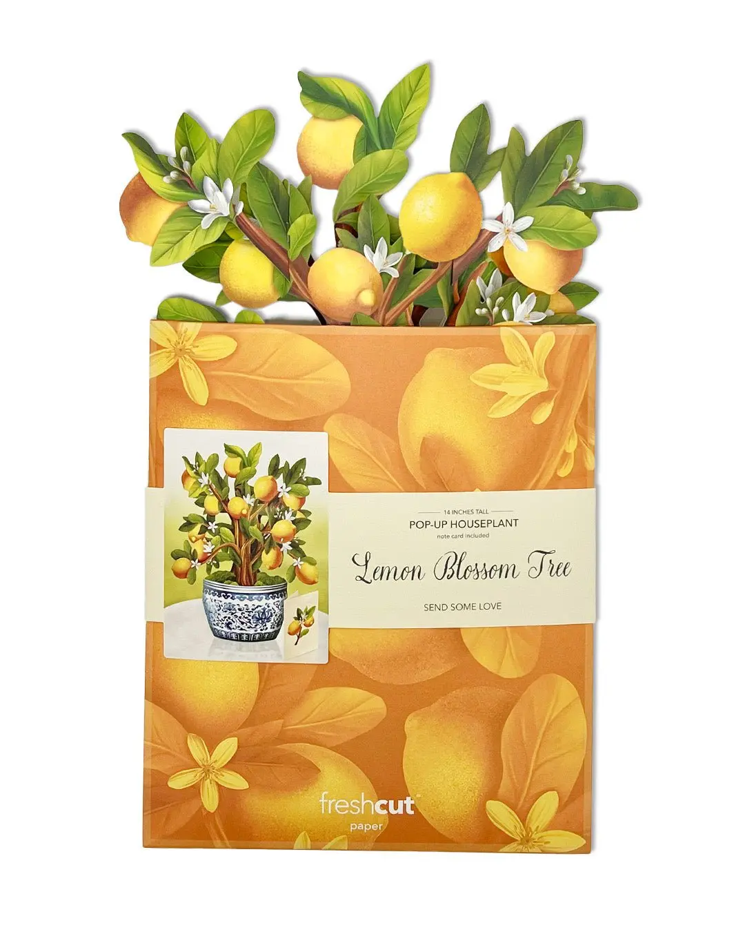 Lemon Blossom Tree - Image 5