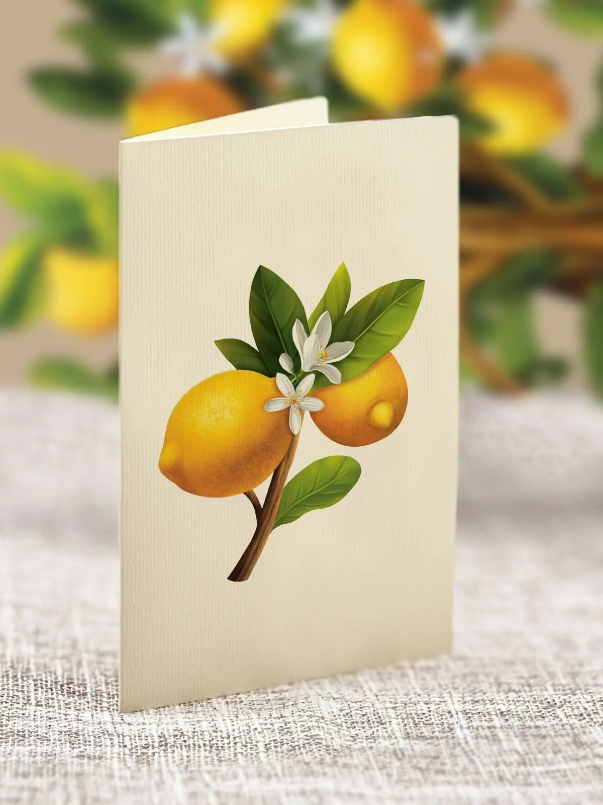 Lemon Blossom Tree - Image 6
