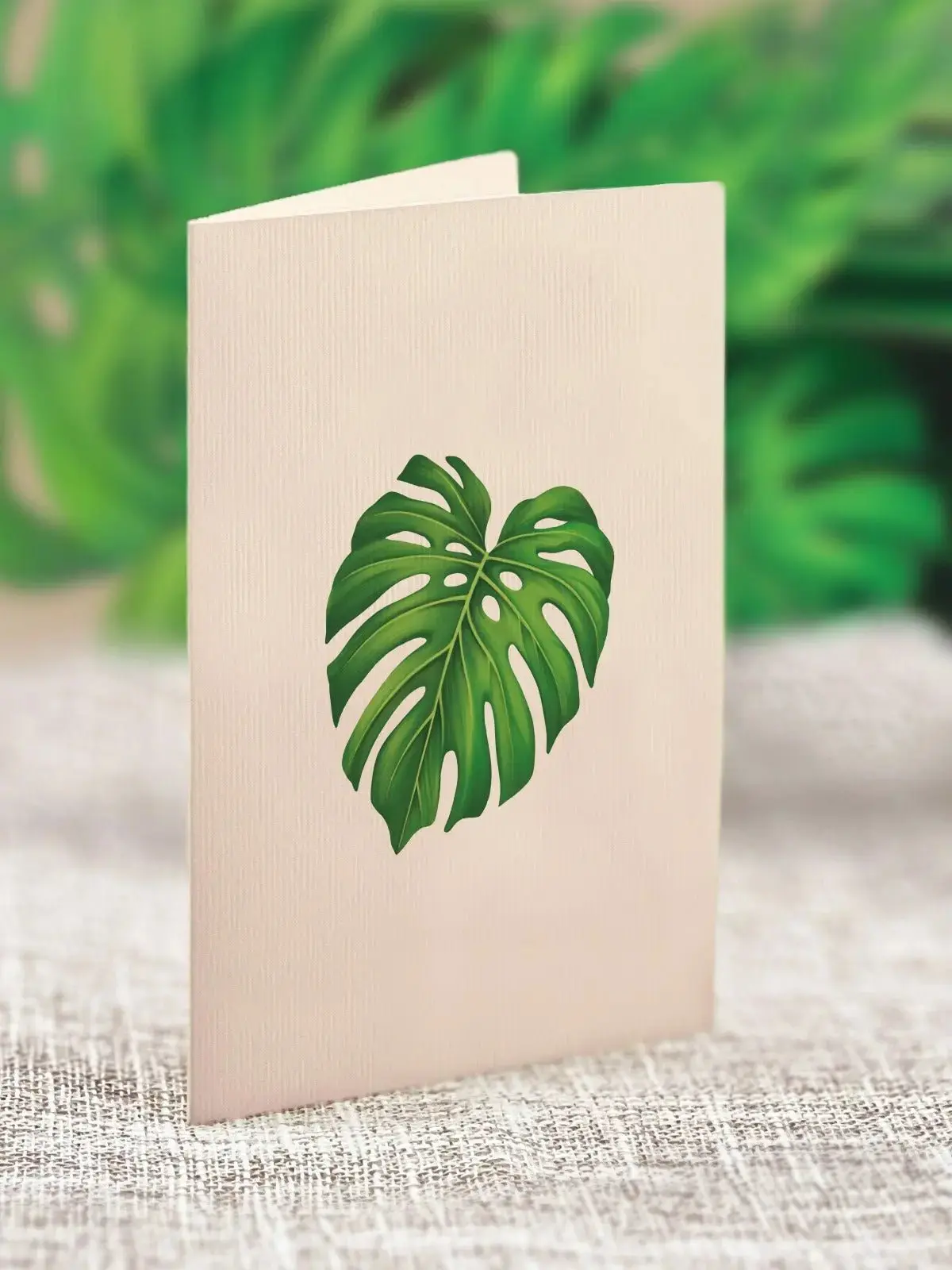 Mini Monstera Pop-Up Card - Image 7