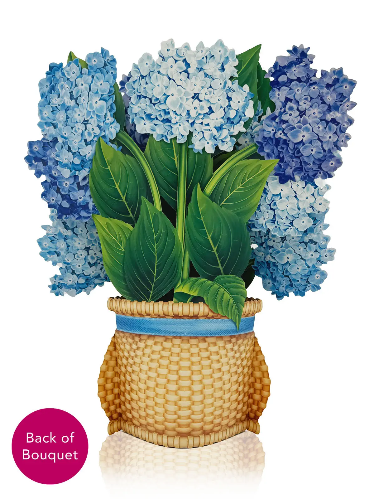 Nantucket Hydrangeas - Image 4