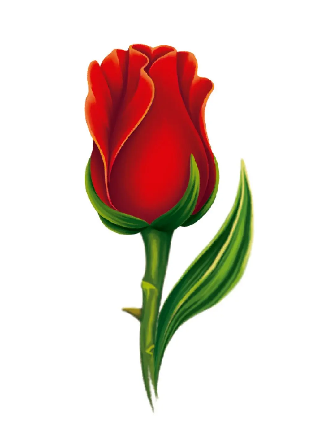 Red Rose Card