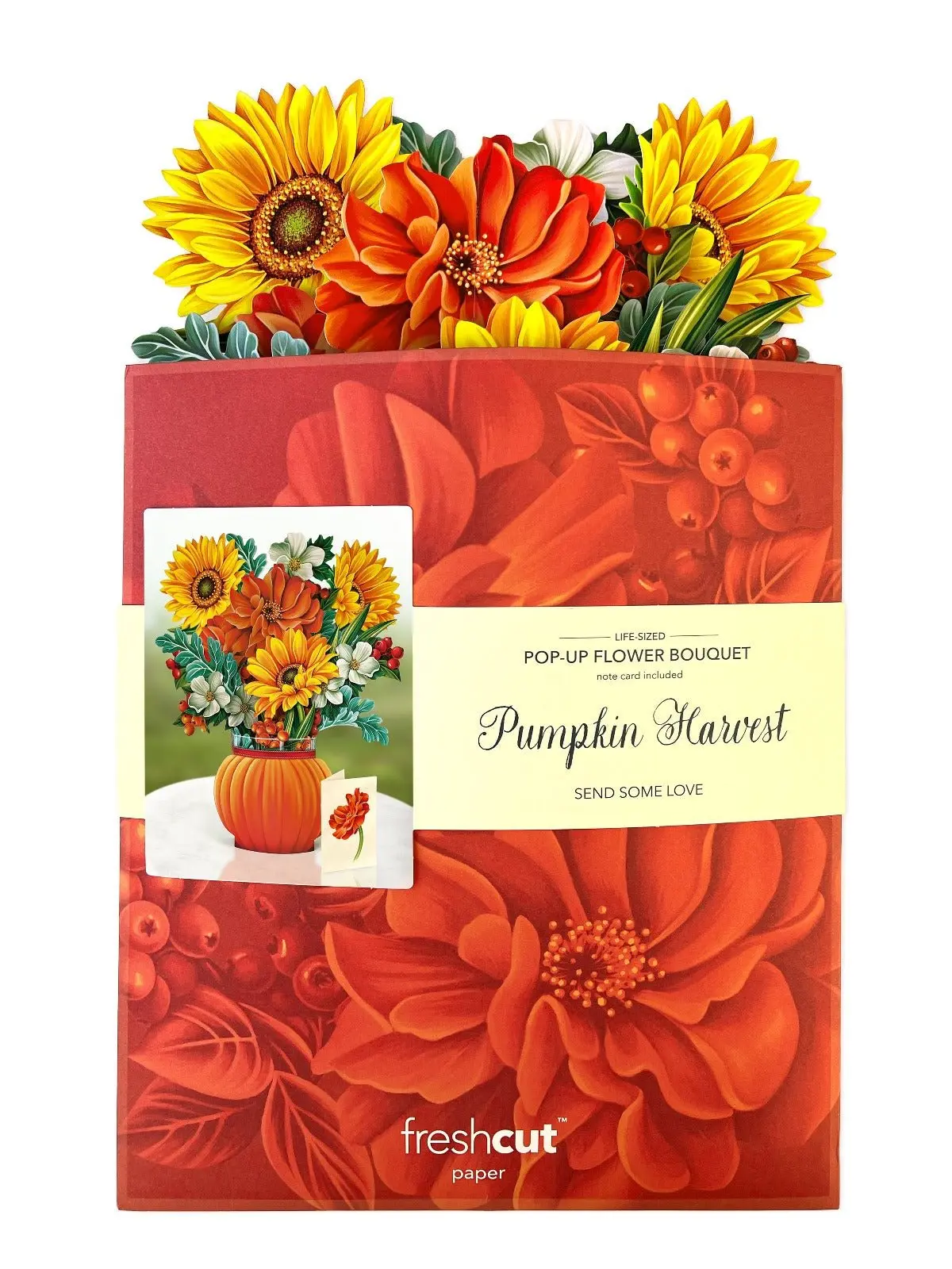 Pumpkin Harvest - Image 4