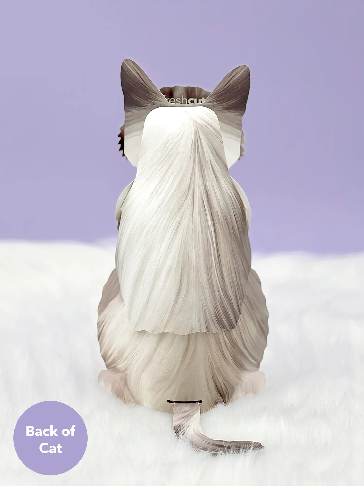 Ragdoll Cat Pop-Up Card - Image 3