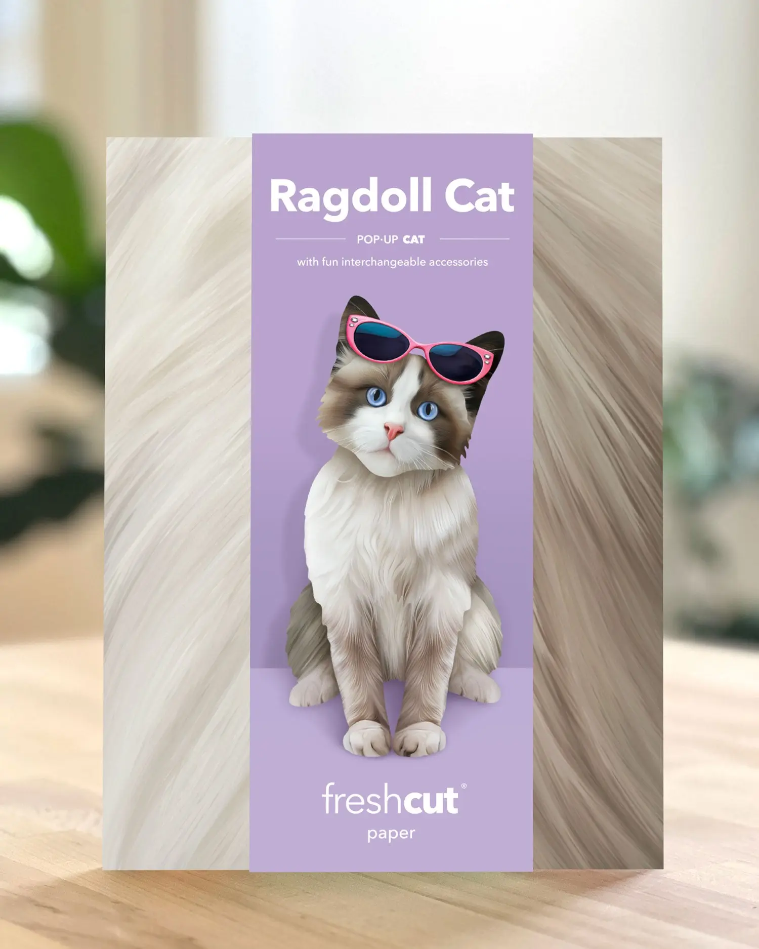 Ragdoll Cat Pop-Up Card - Image 5
