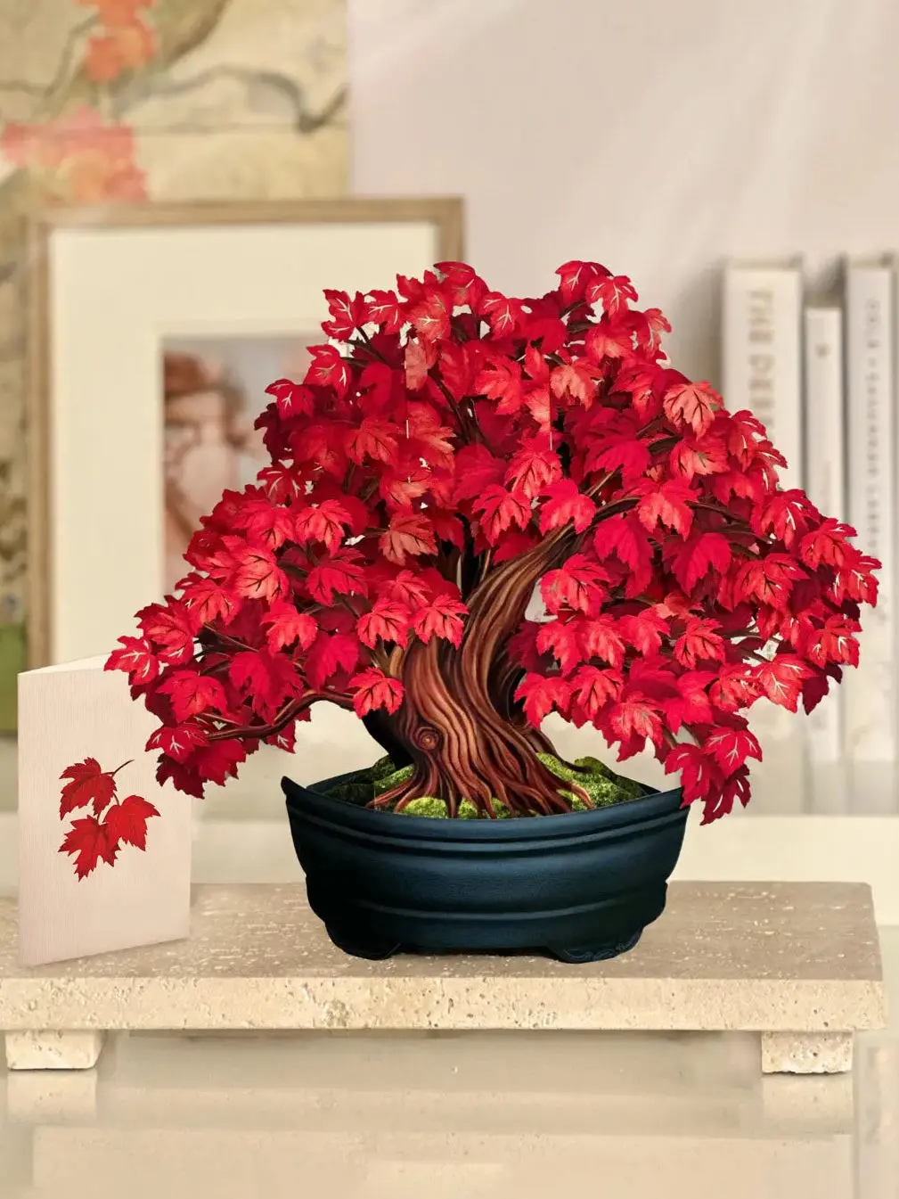 Red Maple Tree