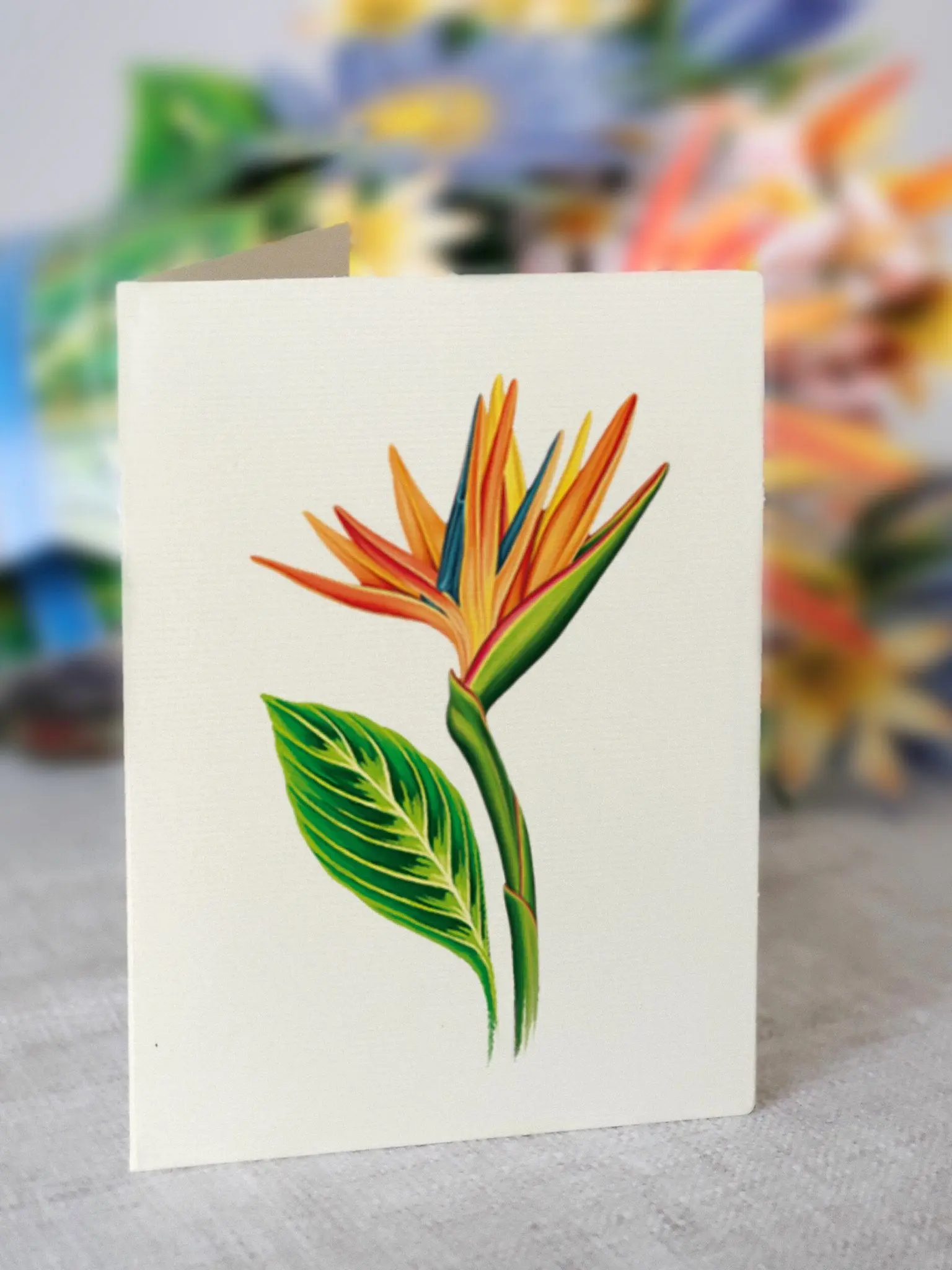 Tropical Bloom - Image 5