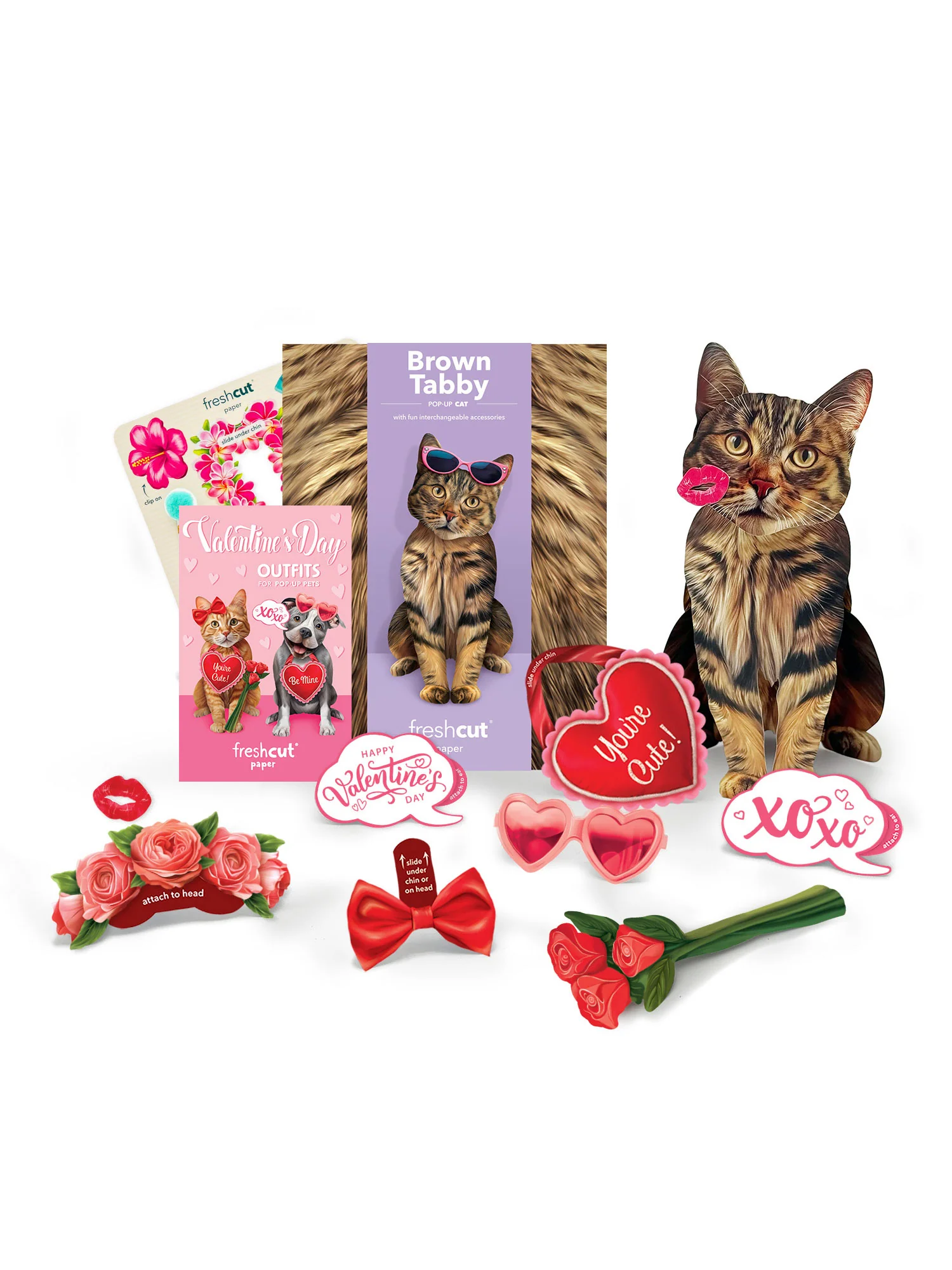 Valentine's Day Brown Tabby Cat Pop-Up Card - Image 2
